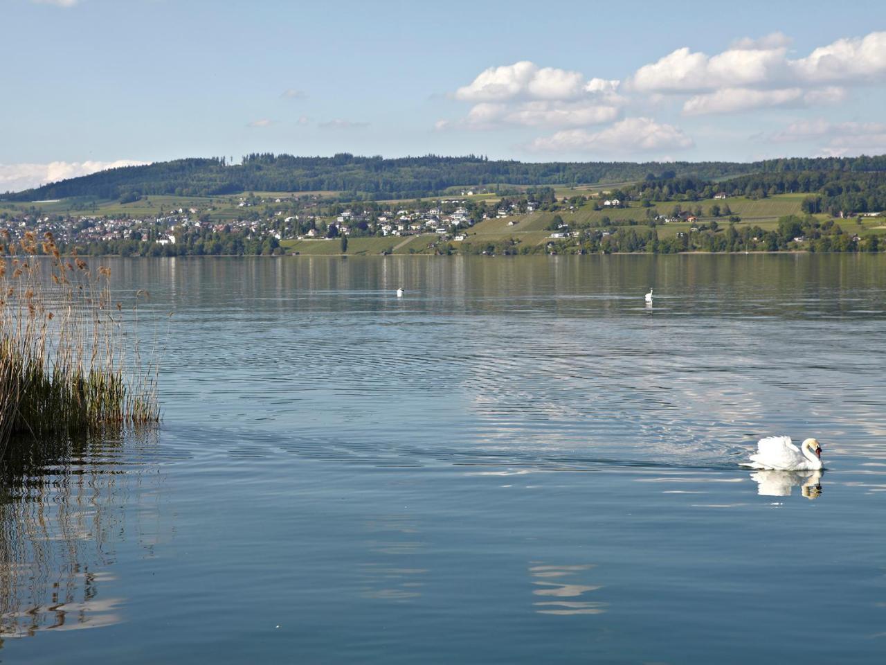 Hotel-Restaurant-Schifflaende Birrwil Екстериор снимка